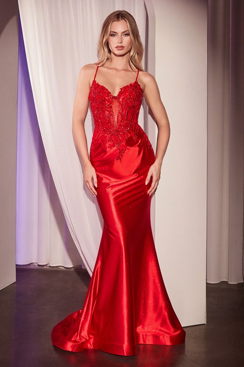 CC2401 - EMBELLISHED LACE & SATIN FITTED GOWN